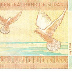 M1 - Bancnota foarte veche - Sudan - 1 Pound - 2006