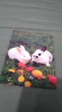 Cumpara ieftin CARTE POSTALA FELICITARE CIRCULATA