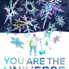 You Are the Universe: RAM Dass Maps the Journey (Be Here Now; YA Graphic Novel; Meditation for Teens)