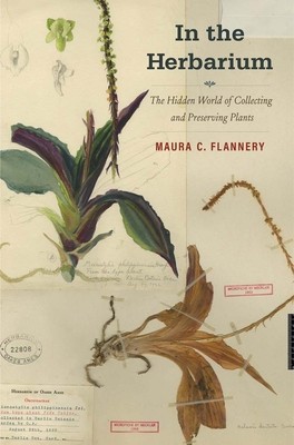 In the Herbarium: The Hidden World of Collecting and Preserving Plants foto