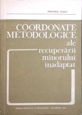 COORDONATE METODOLOGICE ALE RECUPERARII MINORULUI INADAPTAT-CONSTANTIN PAUNESCU-261744 foto