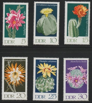 DDR 1970 - Flori de cactus, serie neuzata foto