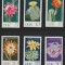 DDR 1970 - Flori de cactus, serie neuzata