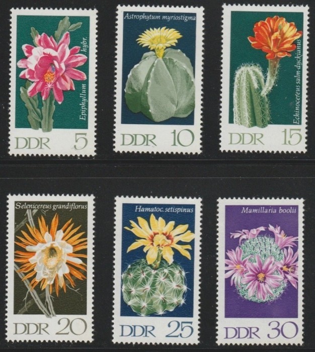 DDR 1970 - Flori de cactus, serie neuzata