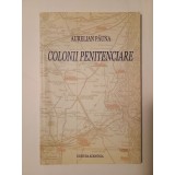 Aurelian Păuna - Colonii penitenciare (Timișoara, Gherla, Lătești)