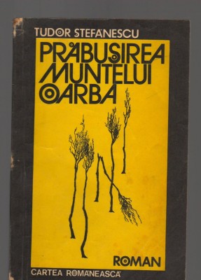 C8488 PRABUSIREA MUNTELUI OARBA - TUDOR STEFANESCU foto
