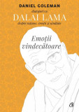 Emoţii vindecătoare - Paperback - Daniel Goleman - Curtea Veche