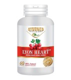 Lyon Heart Star International 60tb, STAR INTERNATIONAL MED