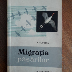 Migratia pasarilor - L. Rudescu / R3P3F