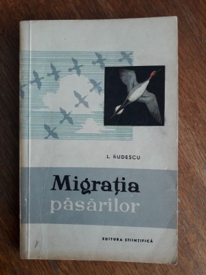 Migratia pasarilor - L. Rudescu / R3P3F foto