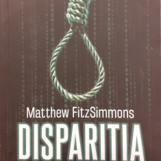 Disparitia Matthew FitzSimmons