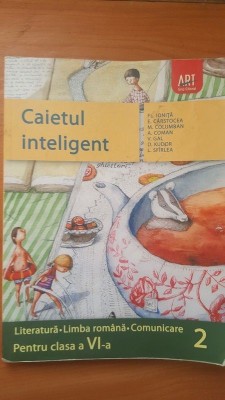 Caietul inteligent pentru clasa a 6-a vol 2 - Fl. Ionita, E. Carstocea foto