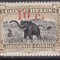 DB1 Fauna Africana Congo Belgian 1922 Elefant 1 v. MNH