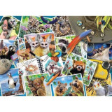 Puzzle Jurnalul De Calatorie Al Animalelor, 1000 Piese, Ravensburger