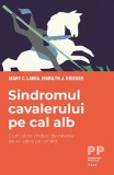 Sindromul cavalerului pe cal alb. Cum sa te vindeci de nevoia de a-i salva pe ceilalti, Trei