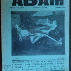 REVISTA ADAM NR.13-14(1 ian.1930:desene FEDER/VICTOR BRAUNER/MARCEL IANCU/MAXY+)