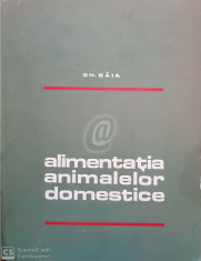 Alimentatia animalelor domestice (Baia) foto