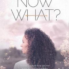 Now What? A quick guide to help you rise when life knocks you down - Karen M. Allen