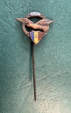 Insigna miniatura YR FAR aviatie civila Romania