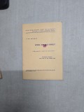 Retorica liricii orale rom&acirc;nești - rezumatul tezei de doctorat - A. Gh. Olteanu