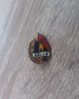 QW9 K 80 - Insigna - tematica diplomatie - Prietenia romano-sovietica - ARLUS foto