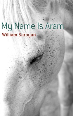 My Name Is Aram foto