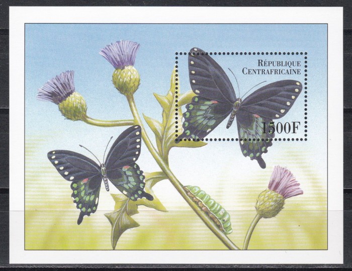 Rep. Centrafricana 2000 - Fluturi, Colita, MNH