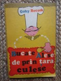 Gaby Becsek - Bucate alese de prin tara culese, 1984, revista Transilvania, carte de bucate
