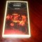 INVIEREA -L.N.TOLSTOI,Ed. Rao Clasic,1998, coperta Done Stan