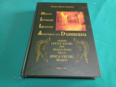 MINUNI ISTORISIRI LEGENDE ADEVĂRUL LUI DUMNEZEU DESPRE LOCUL SACRU DIN DEALUL PLEȘU *2014* 888 foto