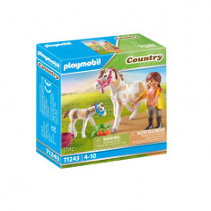 Set de joaca - Country - Cal cu manz | Playmobil