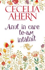 Anul in care te-am intalnit - Cecelia Ahern, All