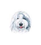 Cumpara ieftin Sticker decorativ Caine Bullmastiff , Alb, 60 cm, 3720ST, Oem