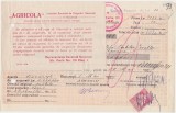 Chitanta Agricola Societate anonima de asigurari generale in Bucuresti 1924, Romania 1900 - 1950