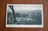 CP Lipova panorama 1928, Circulata, Printata