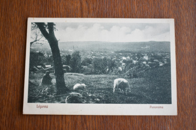 CP Lipova panorama 1928 foto