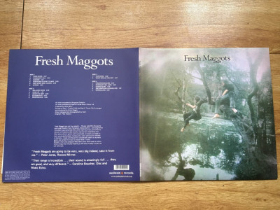 Fresh Maggots &amp;ndash; Fresh Maggots (2LP,2 viniluri,2007,SUNBEAM,UK) vinil vinyl foto