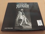 CD Phoenix - Mugur de fluier