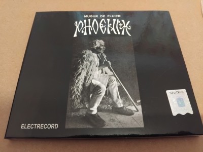 CD Phoenix - Mugur de fluier foto