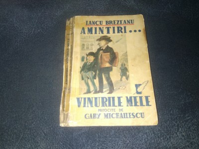 IANCU BREZEANU - AMINTIRI VINURILE MELE foto