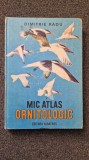 MIC ATLAS ORNITOLOGIC - Dimitrie Radu