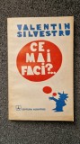 CE MAI FACI?.. - Valentin Silvestru