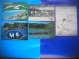 HOPCT LOT NR 384 PASARI DE APA -FAUNA-5 CARTI POSTALE-CIRCULATE, Circulata, Printata