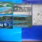 HOPCT LOT NR 384 PASARI DE APA -FAUNA-5 CARTI POSTALE-CIRCULATE