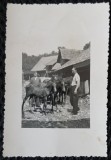 Fotografie, Doi barbati cu caii, intr-un sat din Romania, anii 40