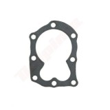 Garnitura chiulasa motor Briggs &amp;amp; Stratton CLASSIC (698717, 270341, 272170, 272536)