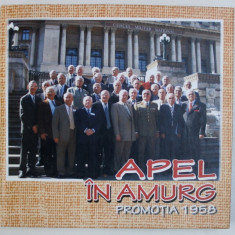 APEL IN AMURG - POVESTEA VIETII UNEI PROMOTII DE OFITERI TRANSMISIONISTI - PROMOTIA 1958 , 2009