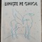 Liniste pe Ghiol - Filoteea Barbu Stoian
