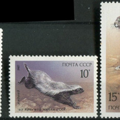 B1651- Rusia 1987 - Fauna 3v.neuzat,perfecta stare
