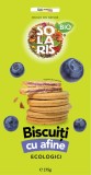Biscuiti cu crema de afine, 175g, Solaris